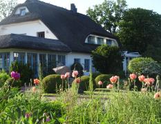 Blick auf ein reetgedecktes Haus