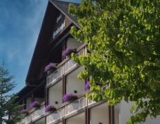 Gartenansicht des Landhotels Henkenhof in Willingen