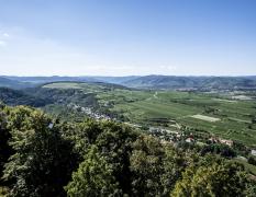 Panoramaansicht Stift Göttweig (c) Robert Herbst
