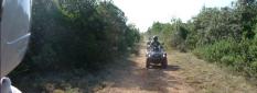 Quad Tour Quad Tour